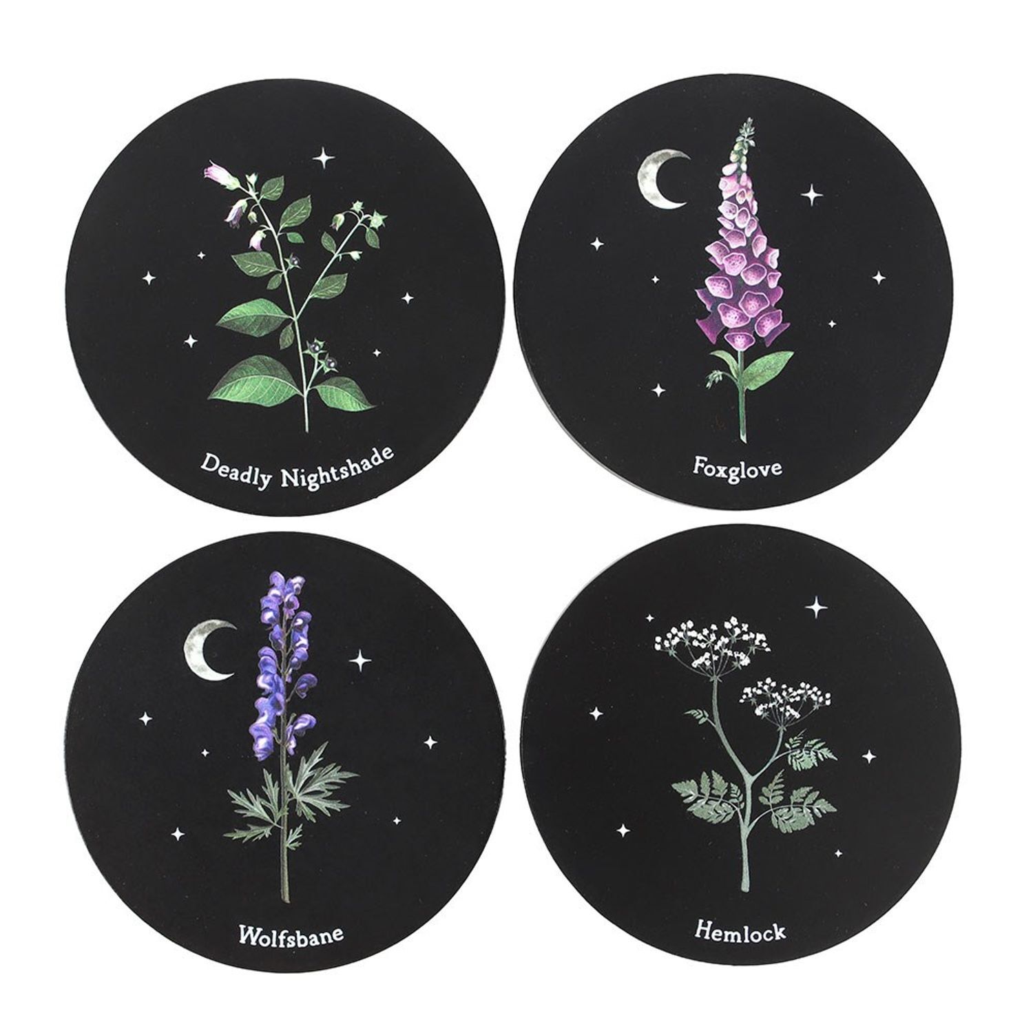 Image of MidOcean Poisonous Plants Coaster Set -&hellip;