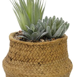 Artificial Cactus Plant, Woven Effect Basket