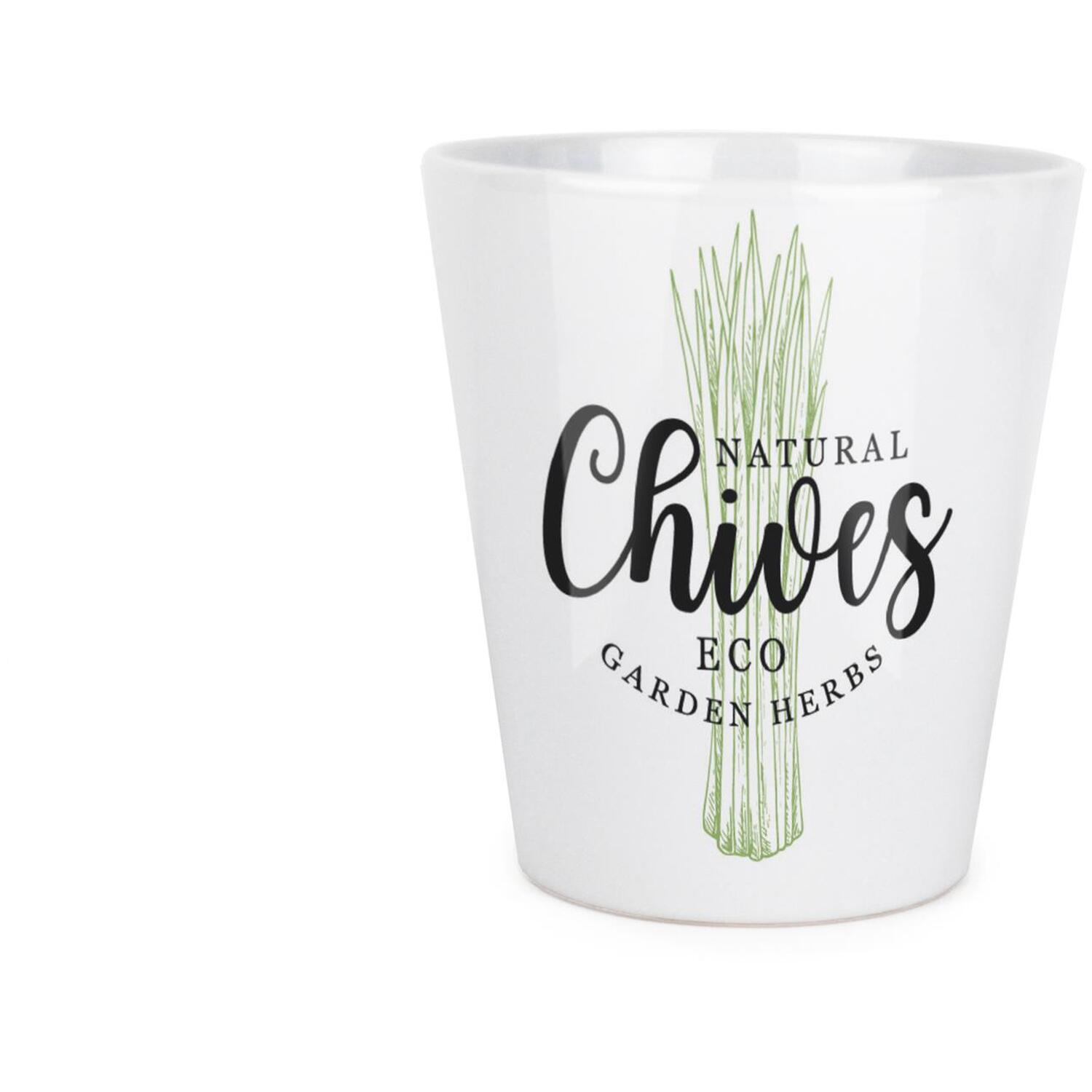 Purely Home Chives Herb Plant Pot - Cooking Ingredients Green Herbs Small Ceramic Indoor Plant Pot with Drainage Hole - Homeware Gift 9cm Diameter Flower Pot - Image 3