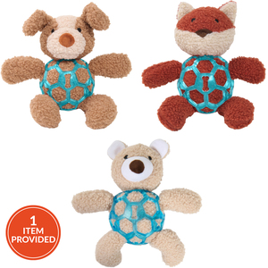 Tummy Teddy Dog Toy