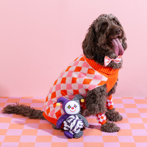Harlequin Dog Jumper