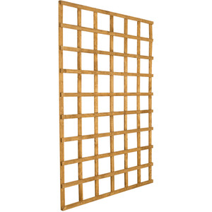  shot 523578