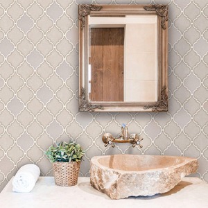  shot 5583282