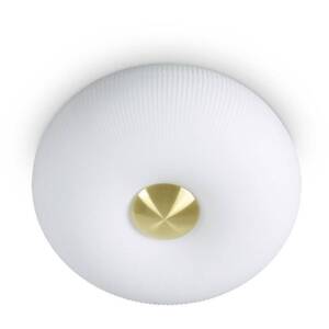 Arizona 2 Light Flush Ceiling Light