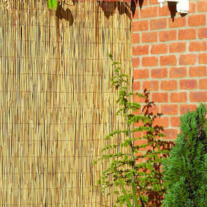 Peeled Reed Fence Screening Roll