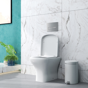 Back To Wall Toilet Soft Close Seat Pan WC 490*365*400