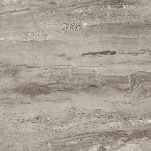  shot 10679019