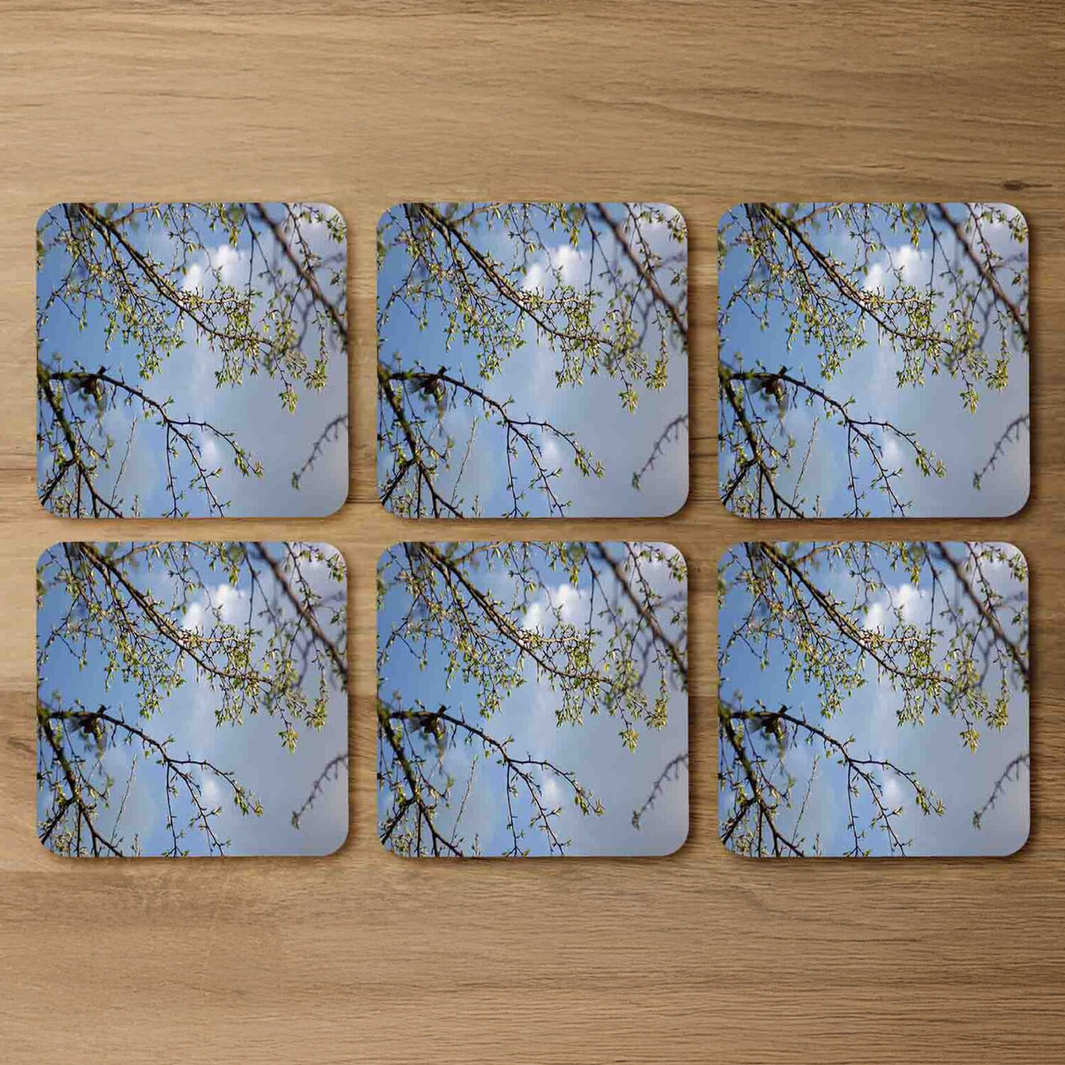 Image of Tree Branches Sky Coaster Set -&hellip;