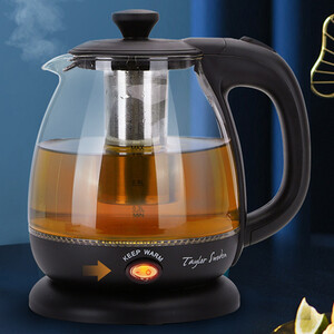 Small Electric Glass Kettle with Filter Tea Infuser