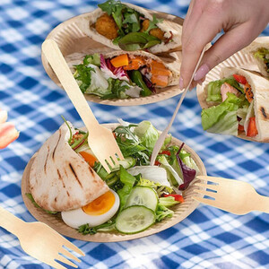 Disposable Wooden Forks Biodegradable Cutlery Set
