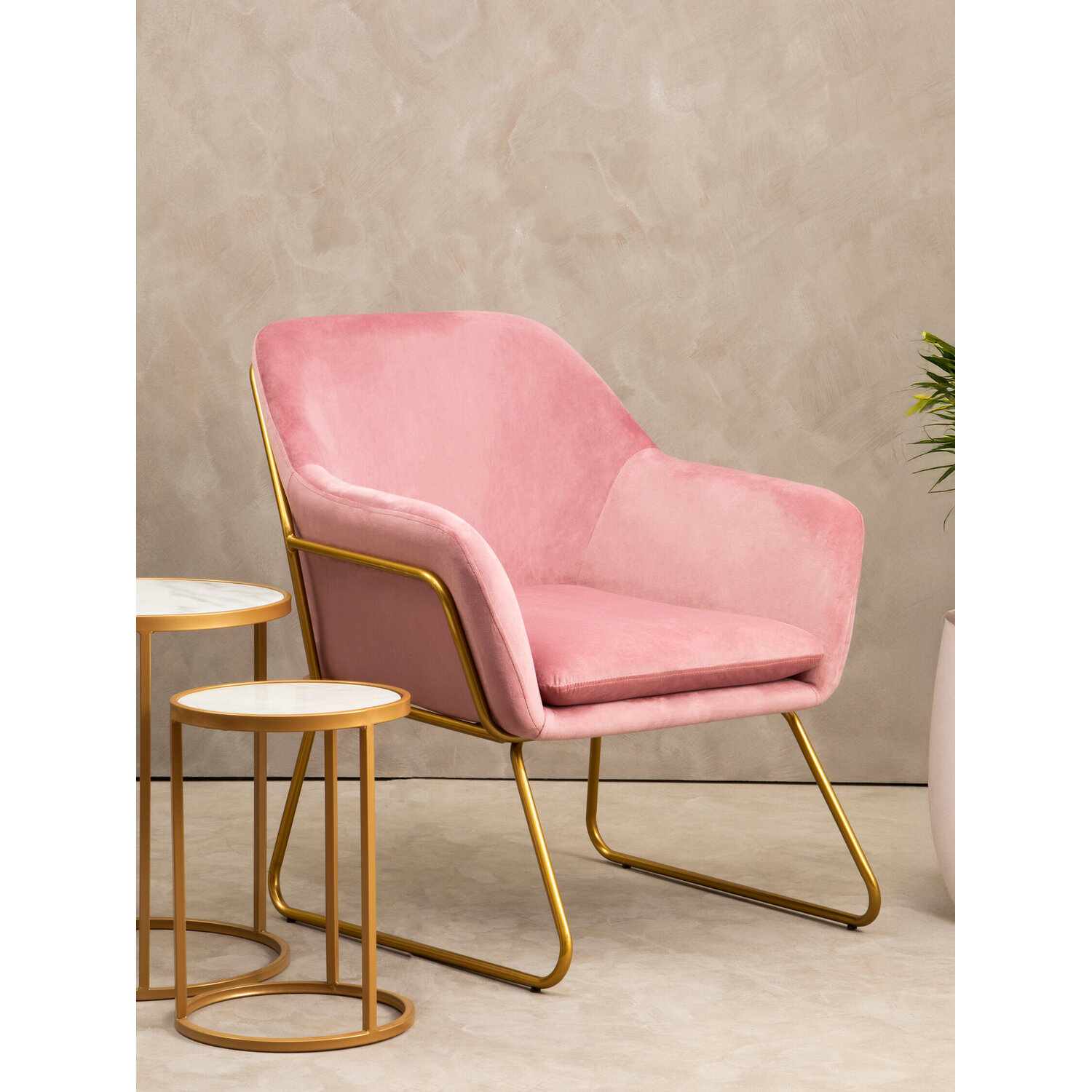 Xander Pink Velvet Modern Accent Chair witg Gold Frame - Pink