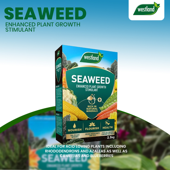 Seaweed Enhanced