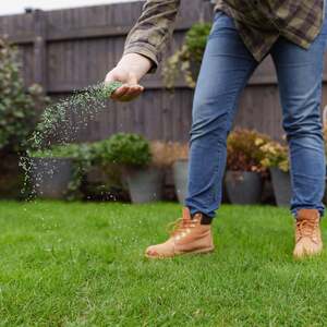 Westland PureGreen Lawn Seed