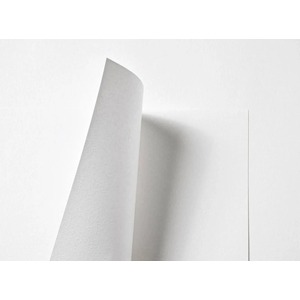 10 Sheets of A4 Tant Powdered Snow Embossed Paper 116gsm