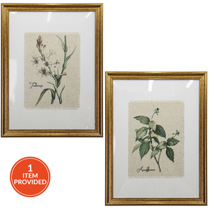 Gold Framed Botanical Flowers Wall Art