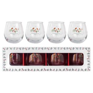 Set of 4 Christmas Robin Drinking Glasses
