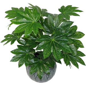 Artificial Japanese Aralia Plant Evergreen