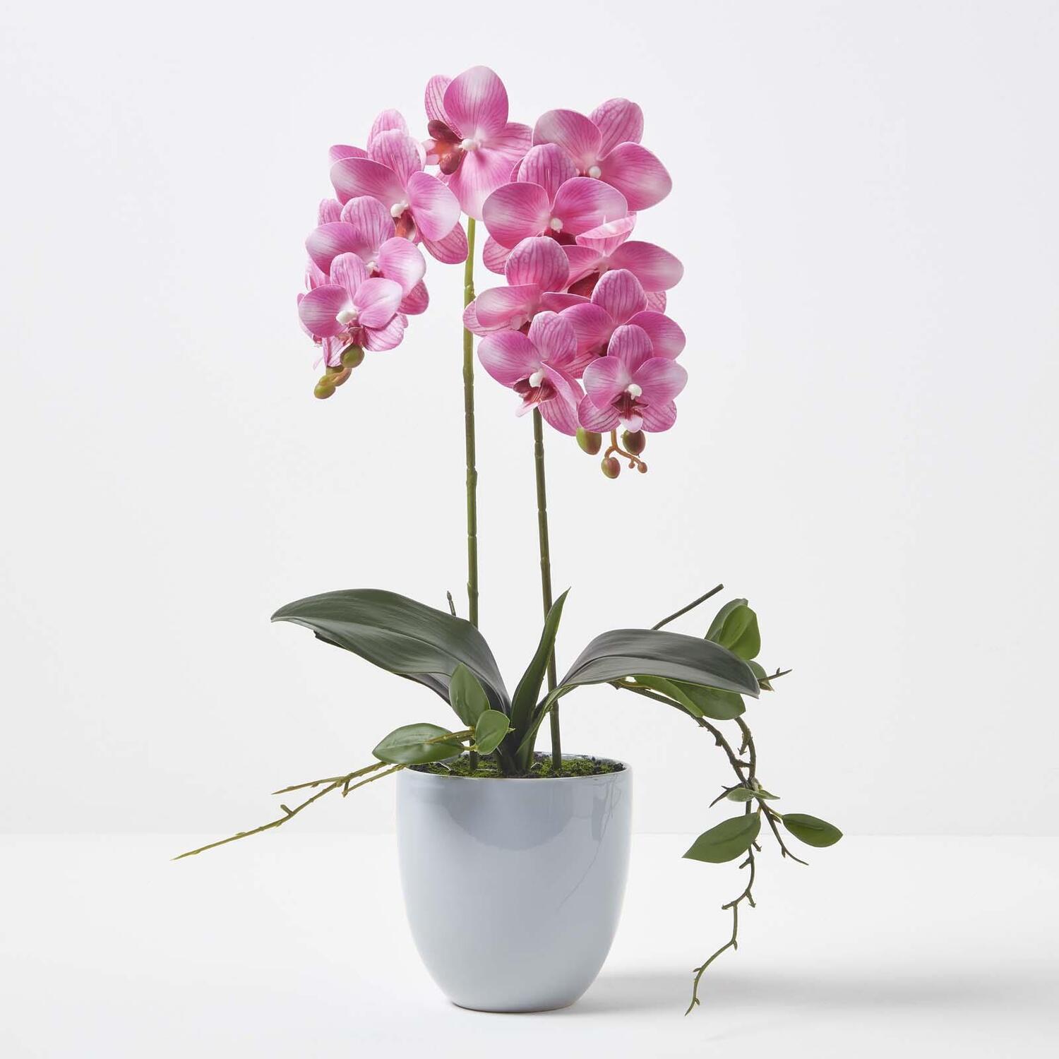 Homescapes Pink 54cm Lifelike Artificial Orchid in Grey Ceramic Pot - Pink