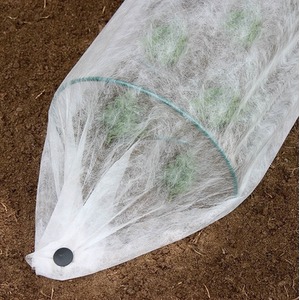 Garden Tree Protective Fleece in White