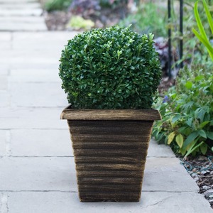 Biscotti Decorative Square Garden Patio Planter