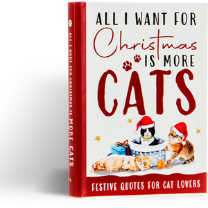 All I Want For Christmas Is More Cats Book