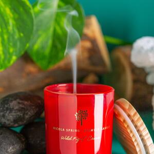 Pack of 3 Soy Wax Scented Candles