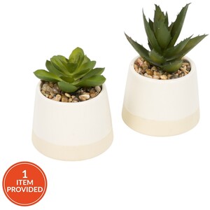 Mini Succulent Pot