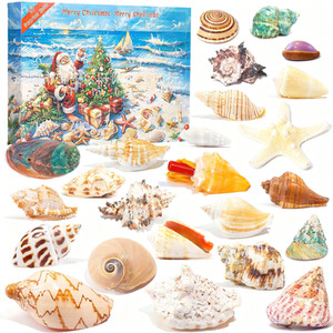 Seashells Advent Calendar