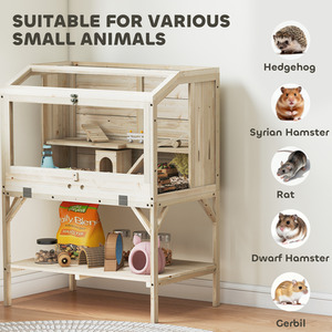  shot 11663704