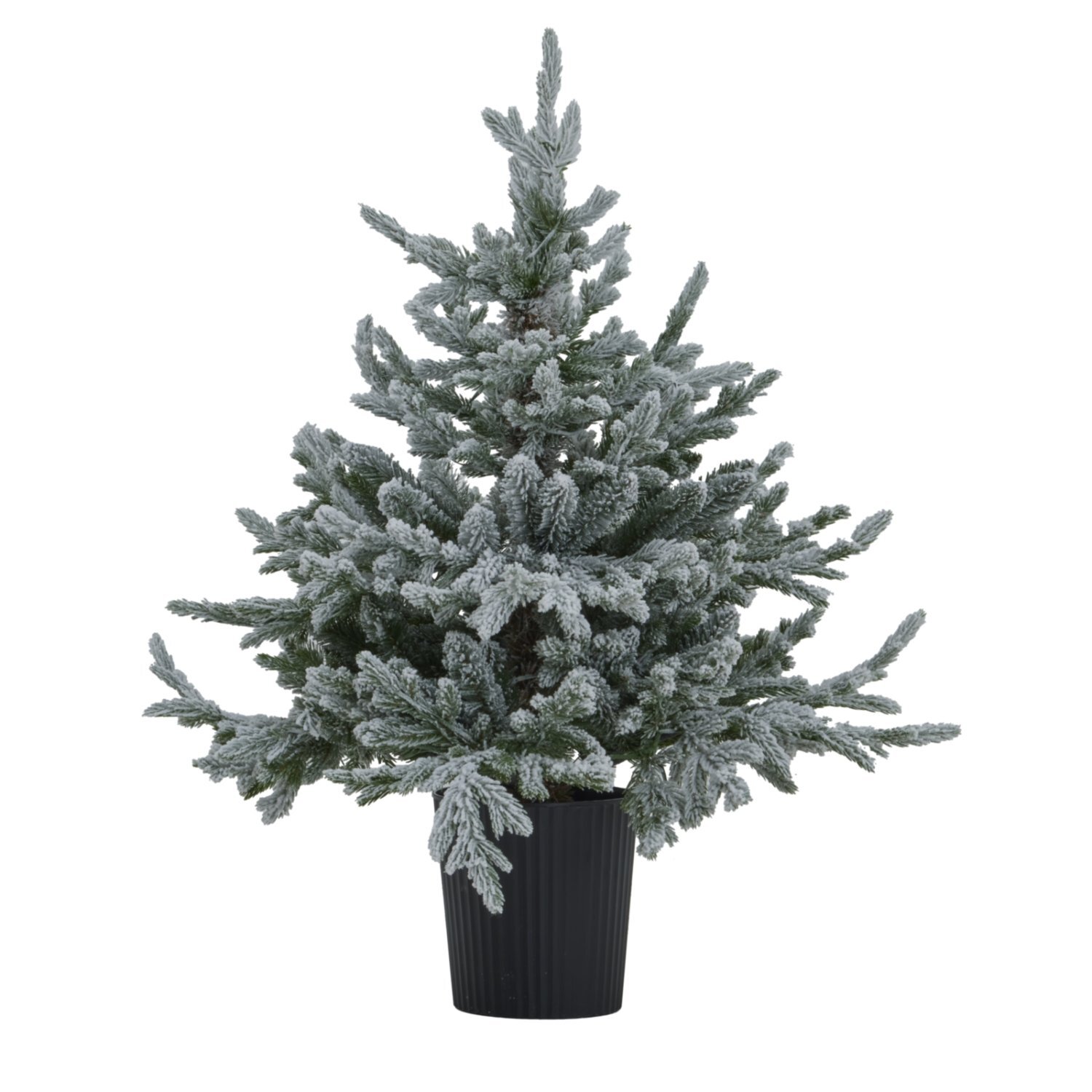 Snowy Forest Fir Pre Lit Christmas Tree with LED Lights in Pot - Green
