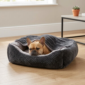 2 in 1 Blanket Pet Bed