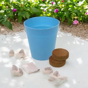 Flower Growing Kit - Blue