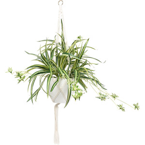 Hanging Artificial Spider Plant