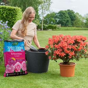 John Innes Peat-Free Ericaceous Compost