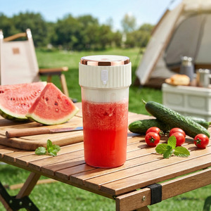 Portable Personal Blender with 6-Leaf 304 Stainless Steel Blade
