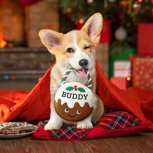 Pre-personalised Christmas Dog Toy Gift - Over 80 Titles - Maisie