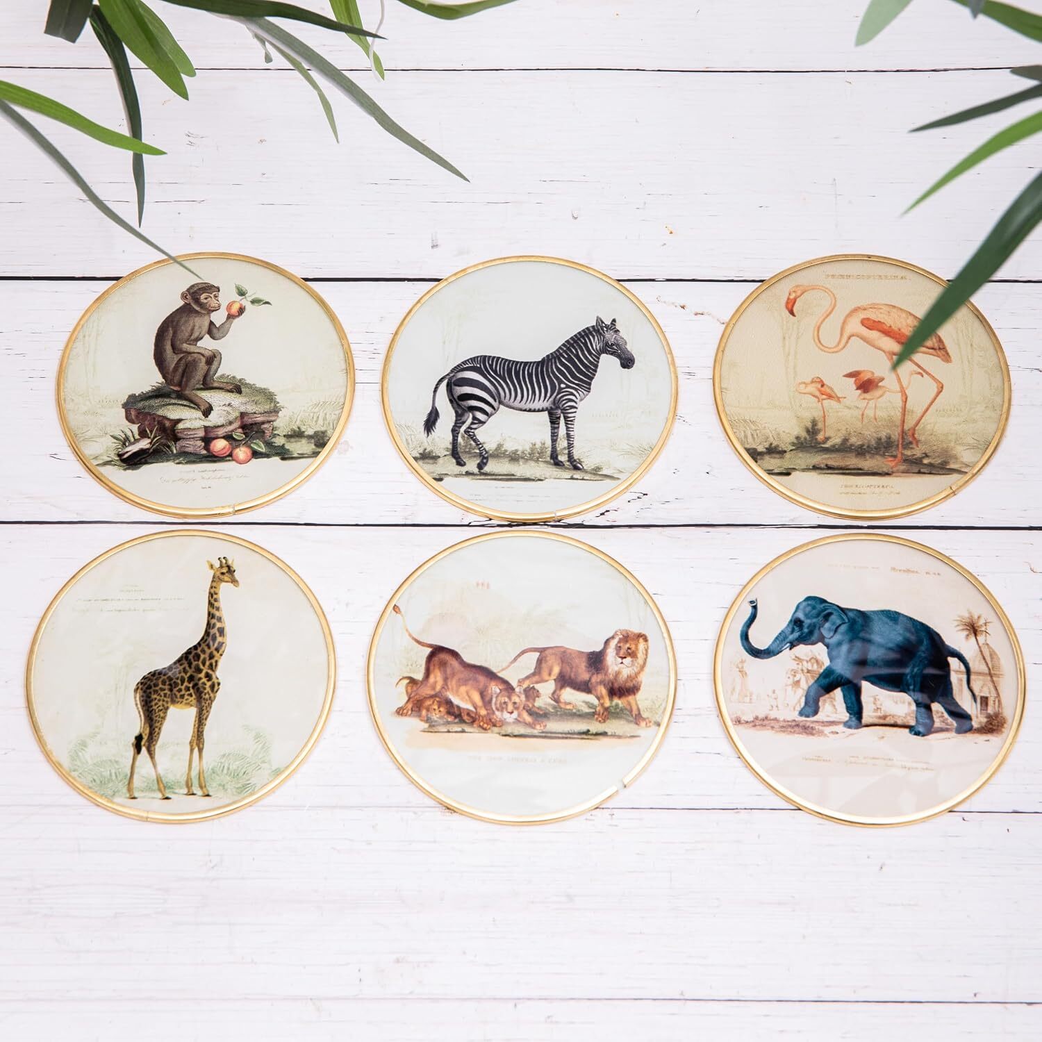 Image of Set of 6 Vintage Safari Animal&hellip;