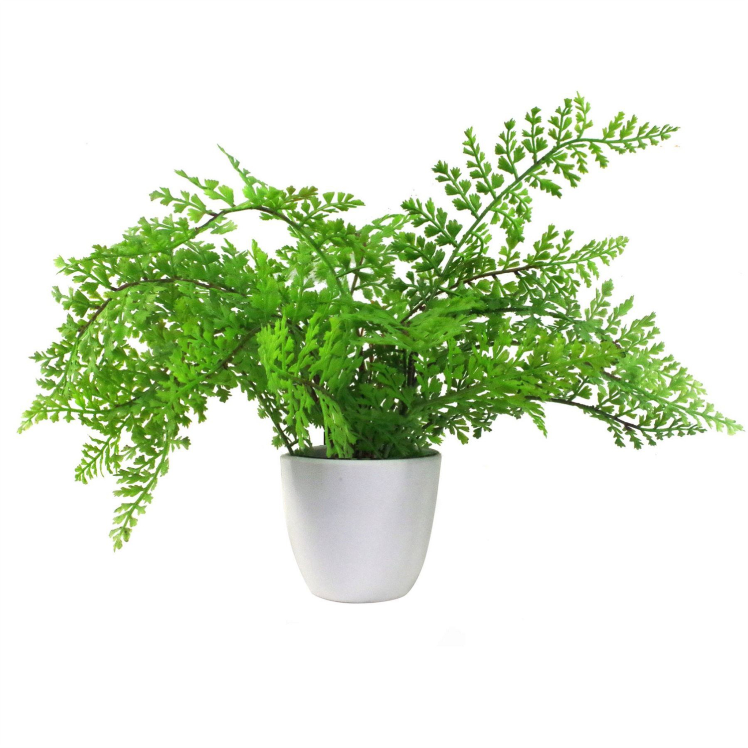 Leaf Design Realistic Artificial Forest Fern Plant 30cm - Green