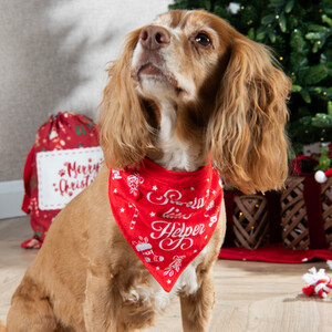 Santa's Helper Festive Pet Bandana