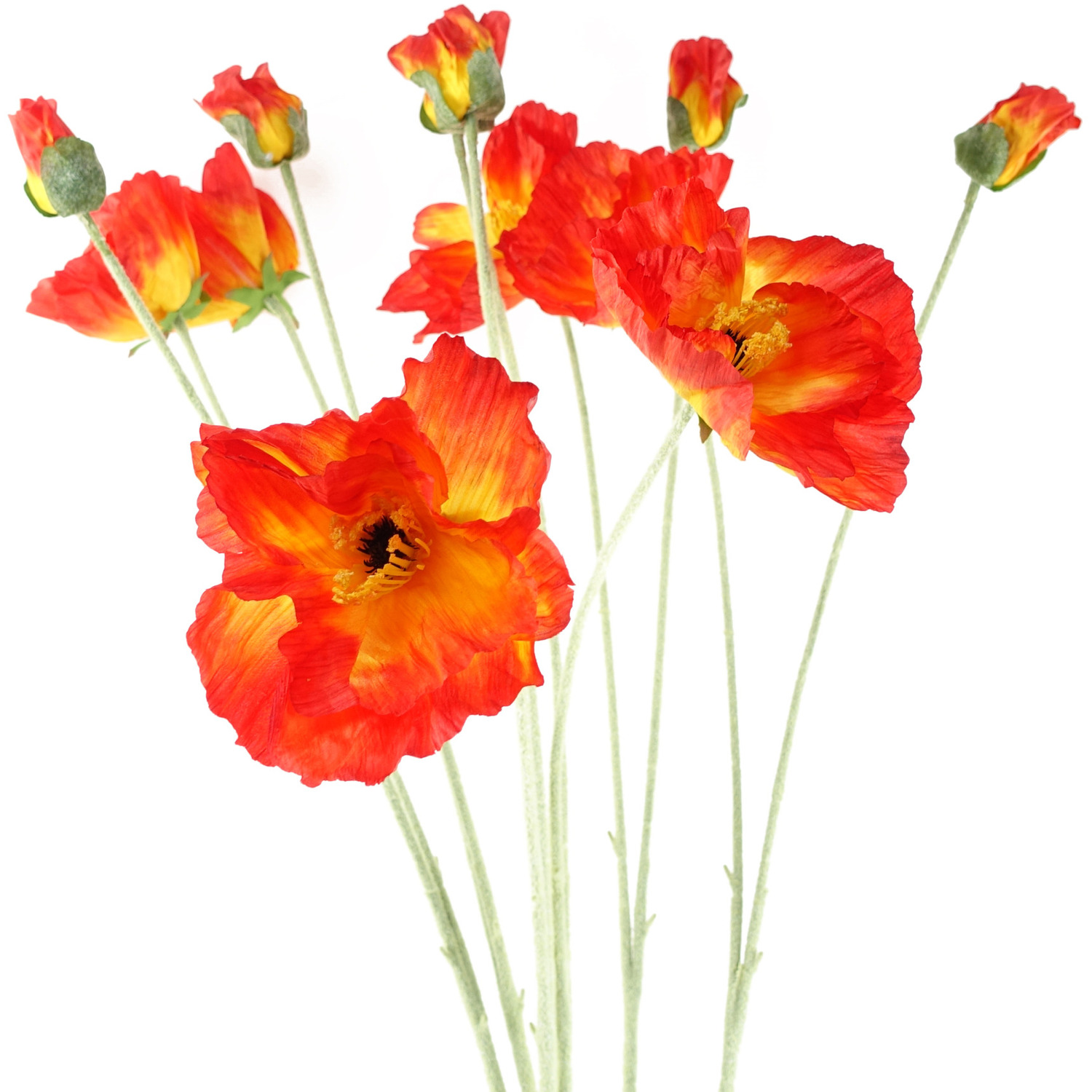 Pegdev Pack of 6 100cm Artificial Poppy Stem with 2 Faux Poppies in Red