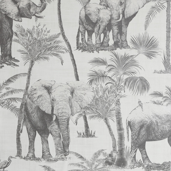 Safari Elephant Charcoal and Champagne
