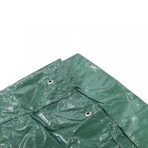  shot 2365605