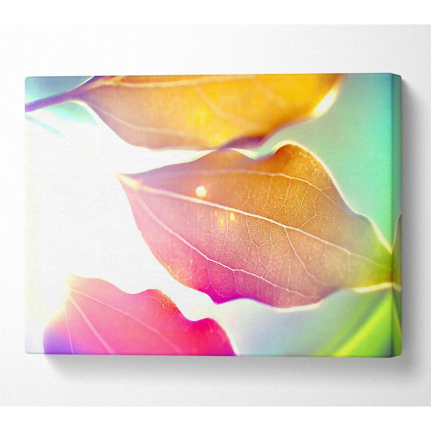 Coloured Leaves Canvas Print Wall Art