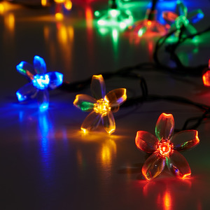 30 Flower Head String Lights