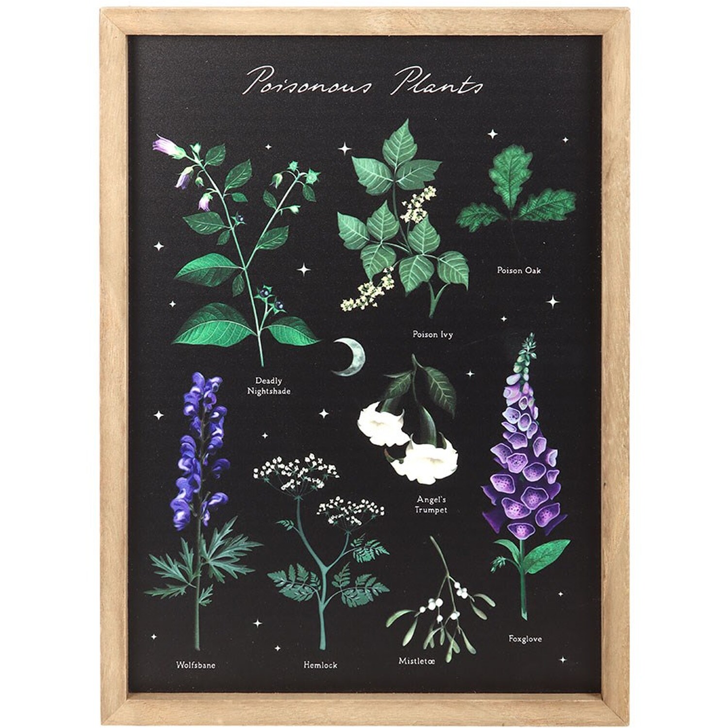 Poisonous Plants Framed Wall Art Print - Black