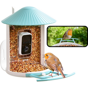 Birdfy Feeder AI Lifetime Free Solar