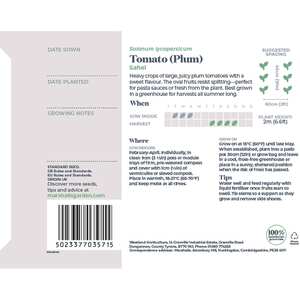 Sahel Tomato Seeds High-Yield Disease-Resistant Variety