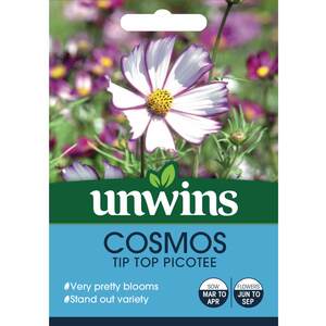 Marshalls Garden Cosmos Seeds Tip Top Picotee - Pink & White Annual Pack of 100