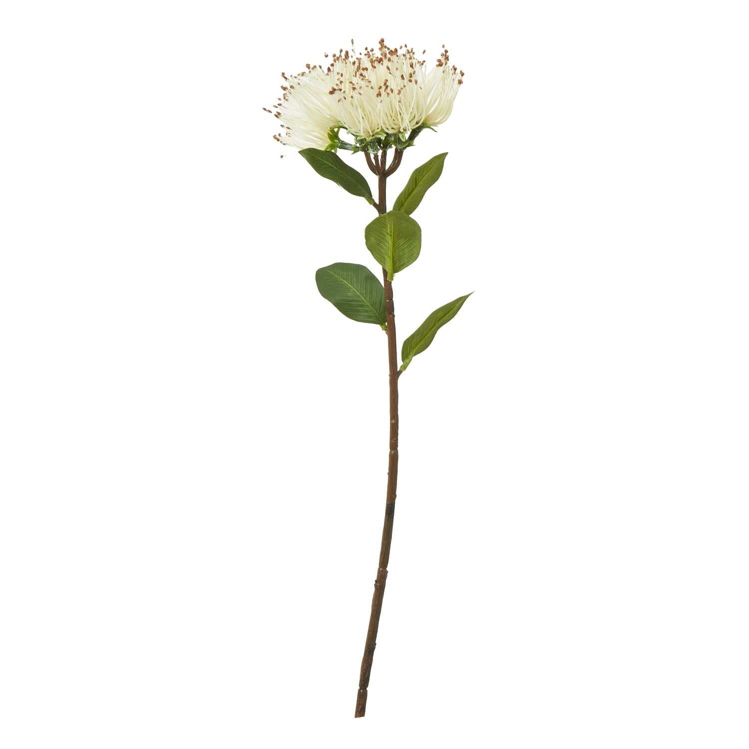 3 Pack Protea Nitida Artificial Flower Stems - Cream