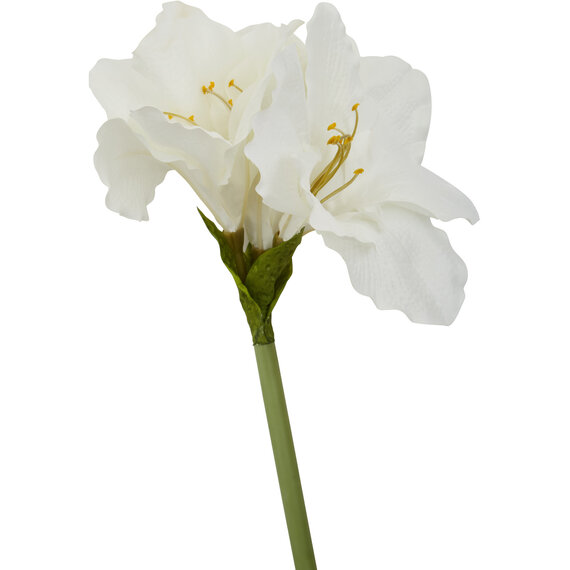 Fiori Ivory Amarylilis Flower Stem